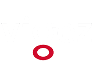 logo vigez